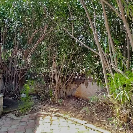 Tatil Evi Il Nido Palazzo (Livorno)